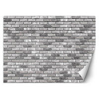 VLIESTAPETE Grau 300/210 cm - Grau, Textil (300/1cm) - KUNSTLOFT