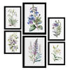 POSTER Set Mit 6 Botanische Lilien Größe A3 & A4 Schwarzer Rahmen - Schwarz, Papier (29.7/1cm) - Nacnic