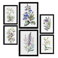 POSTER Set Mit 6 Botanische Lilien Größe A3 & A4 Schwarzer Rahmen - Schwarz, Papier (29.7/1cm) - Nacnic