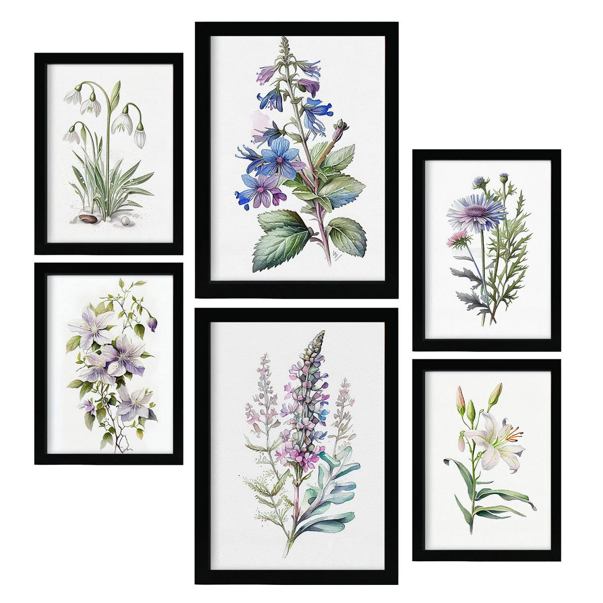 POSTER Set Mit 6 Botanische Lilien Größe A3 & A4 Schwarzer Rahmen - Schwarz, Papier (29.7/1cm) - Nacnic