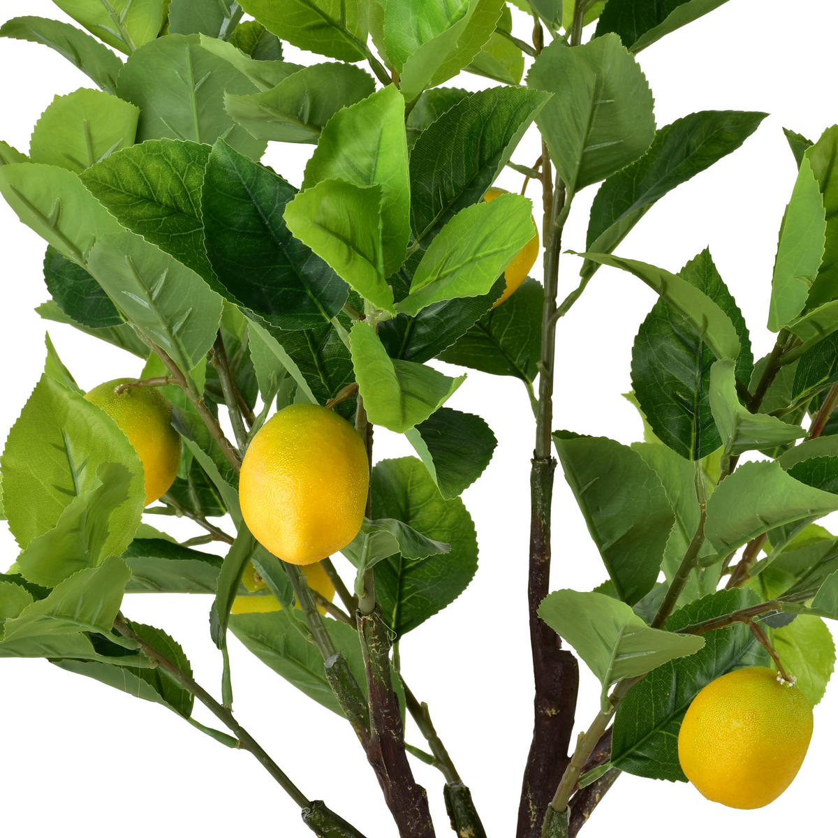 KUNSTBLUME Viridis Gelb 14x11x65 cm Kunststoff - Gelb, Kunststoff (65cm) - Mondex