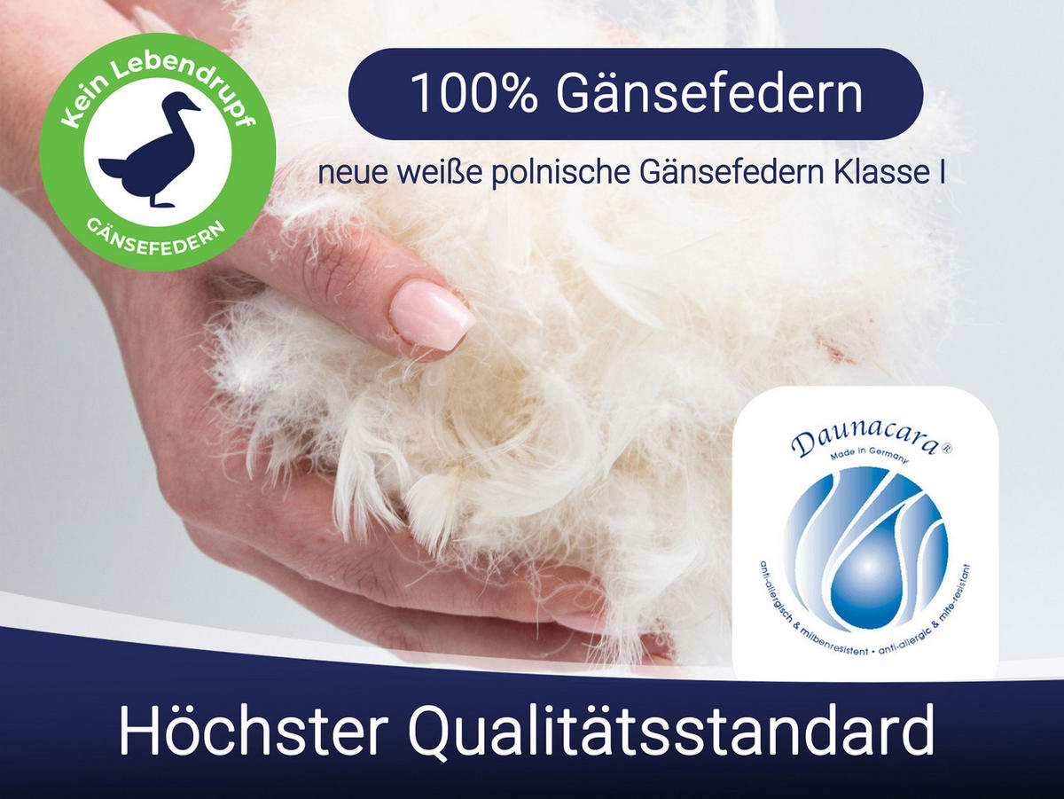 KISSEN, 40x80 cm, 100% Baumwolle, Weiß - Weiß, Textil (40/80cm) - Zollner