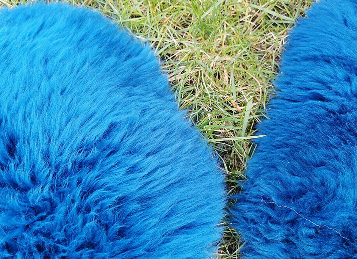 LAMMFELL Öko bunt gefärbt weich Fell Teppich Himmelblau ca. 110 cm - Blau, Fell (60/110cm) - Provellus