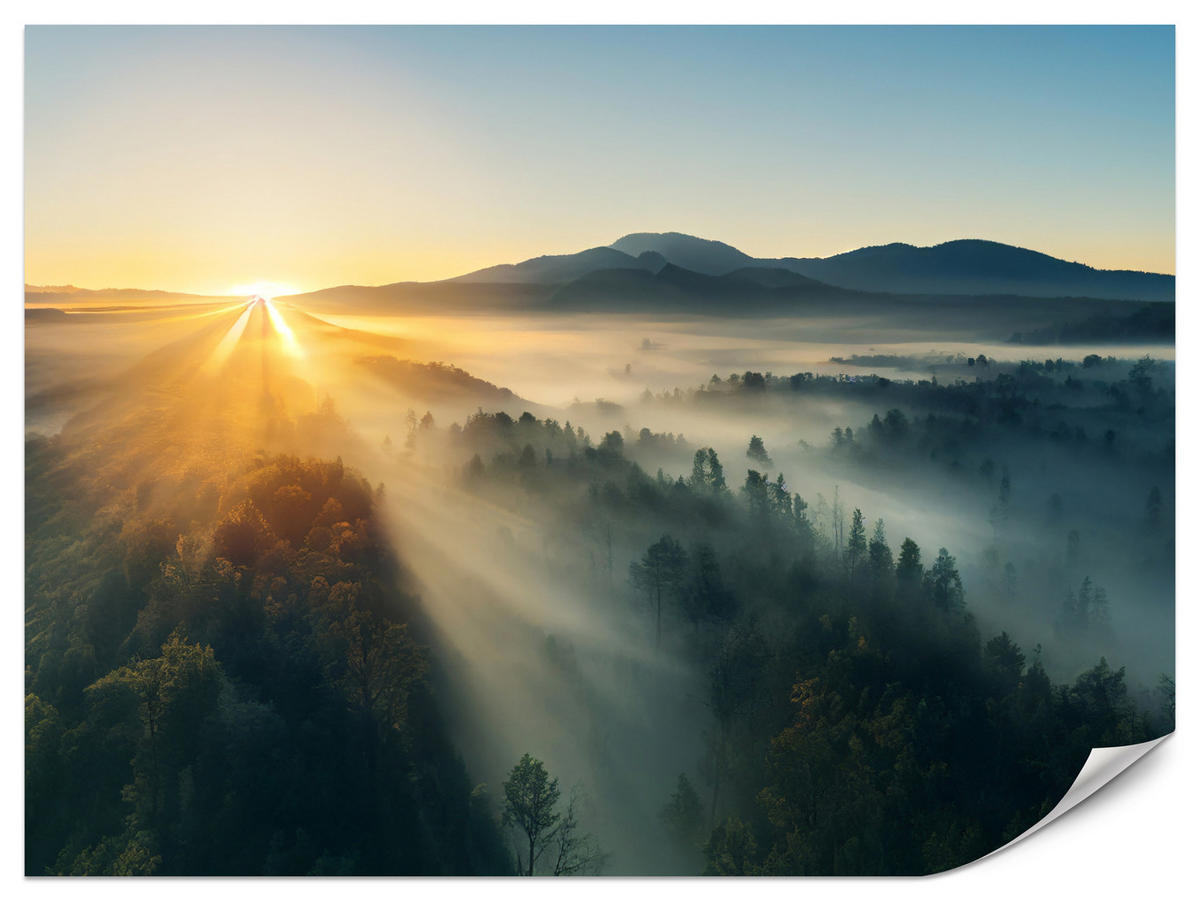 FOTOTAPETA Pre Obývaciu Izbu Východ Slnka Nad Hornatým Ihličnatým Lesom Zlato 500 x 350 cm - hnedá/žltá, papier (500/350cm) - Muralo