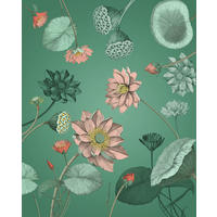 FOTOTAPETE Lotus Blume 200 x 250 cm - Grün, Papier (200/250cm) - Sanders & Sanders