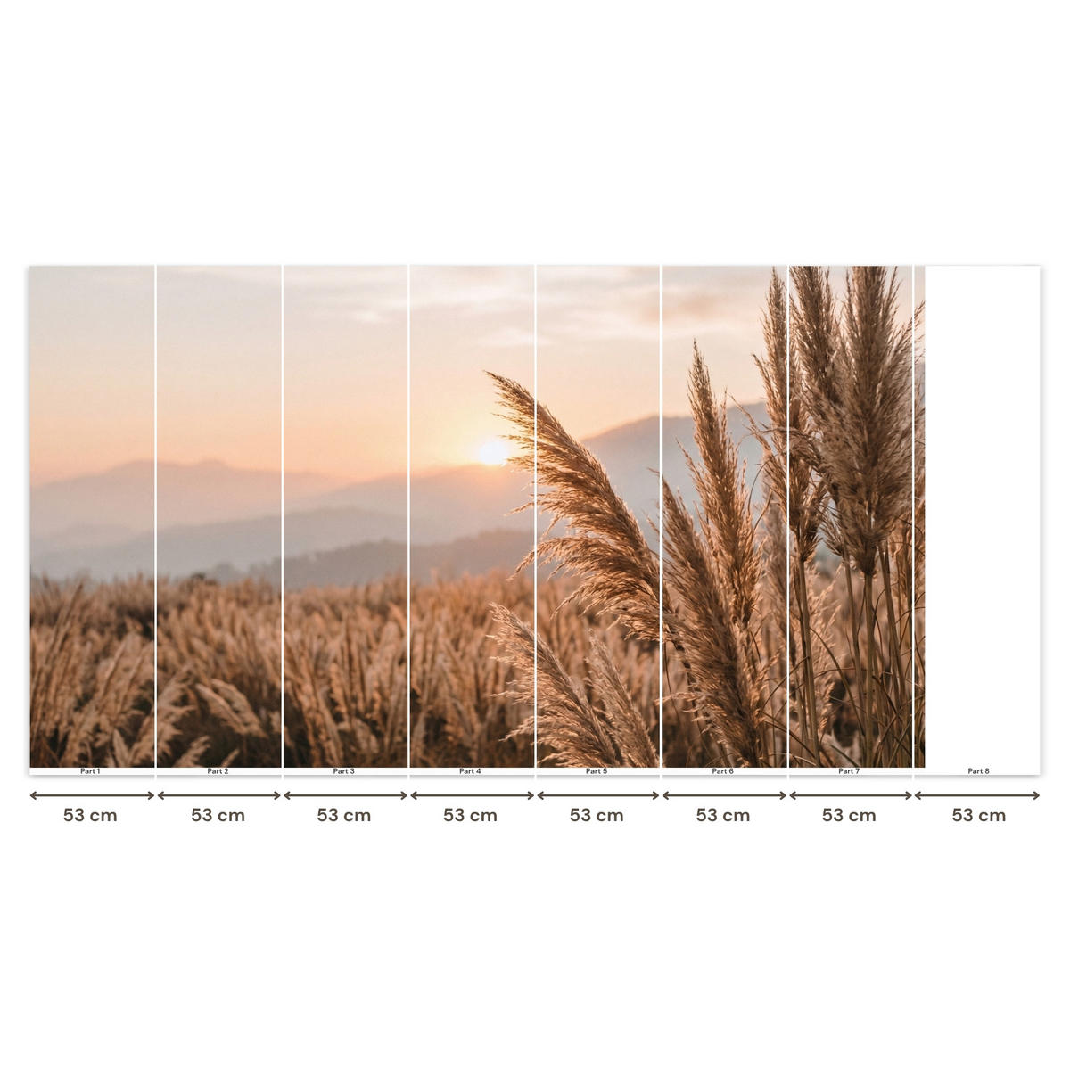 TAPETE - Gras - Feld - Sonne - Natur - 350x200 cm - Sandfarben, Papier (350/200cm) - OnlyWow