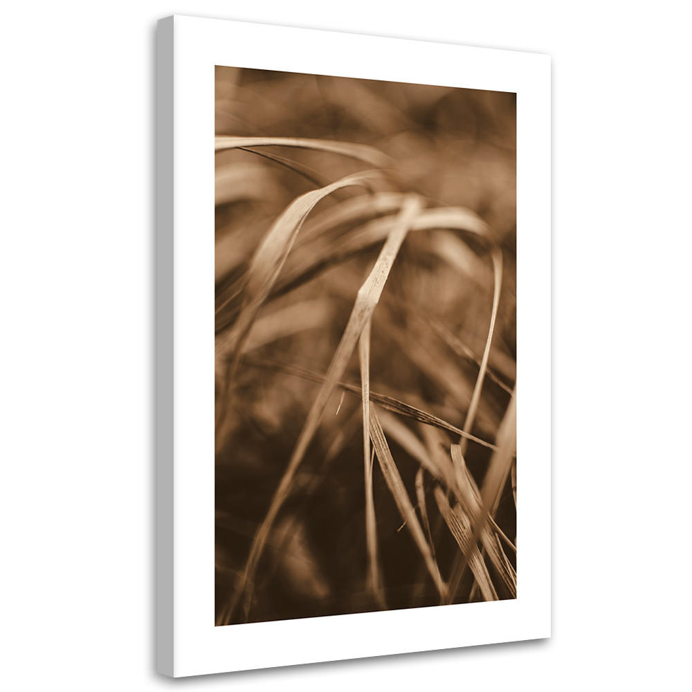 WANDBILD trockenes gras - Beige, Textil (40/60cm) - Feeby