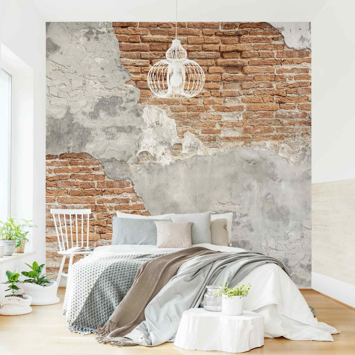 FOTOTAPETE Shabby Backstein Wand 240/240 cm - Braun, Papier (240/240cm) - Bilderwelten