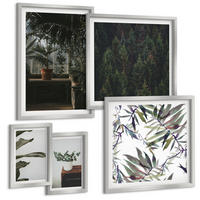 BILDER SET 5er Set - 50x50 cm & 20x30 cm & 40x60 cm Silberner Rahmen - Rustikale Topfpflanzen - Silberfarben, Kunststoff (40/60cm) - TULUP
