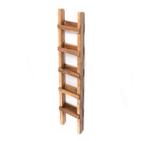 LEITERREGAL Step 170 Massivholz, 5 Ebenen, zum Anlehnen an die Wand naturfarben - Naturfarben, Holz (38/170cm) - DESIGN DELIGHTS