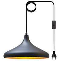 PENDELLECUHTE Plugra - Schwarz, Metall (35/35/20cm) - Bamyum