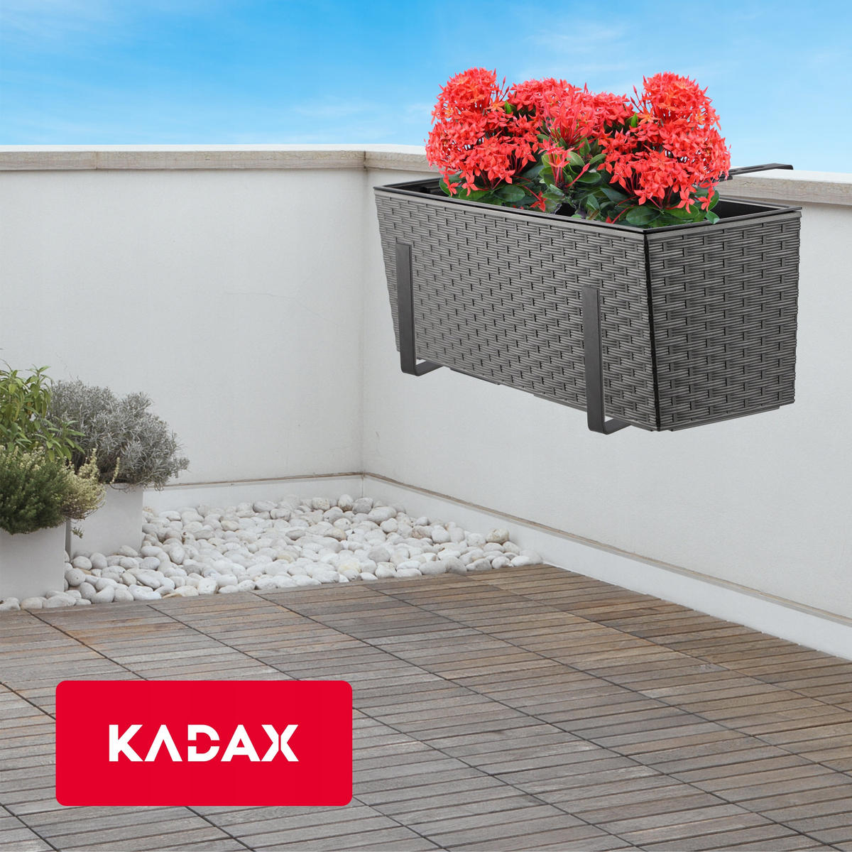 BLUMENKASTEN mit Einsatz und 2 Griffe 56 cm, Graphit - Graphitfarben, Kunststoff - KADAX