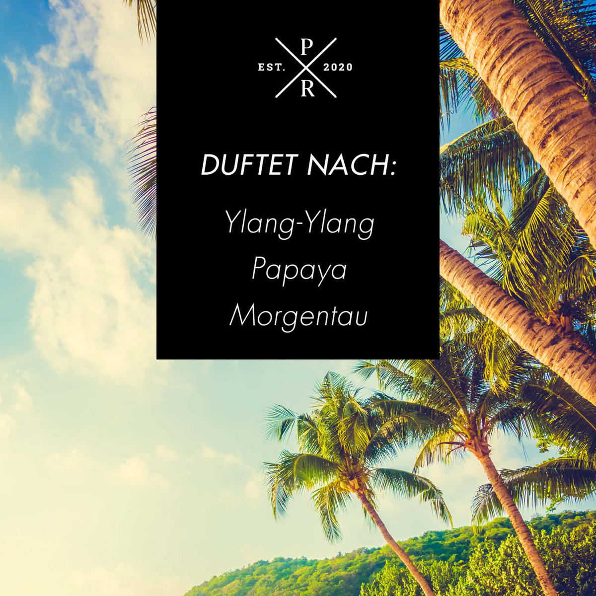 DIFÚZOR Purple River - biela, sklo (7/7/7cm)