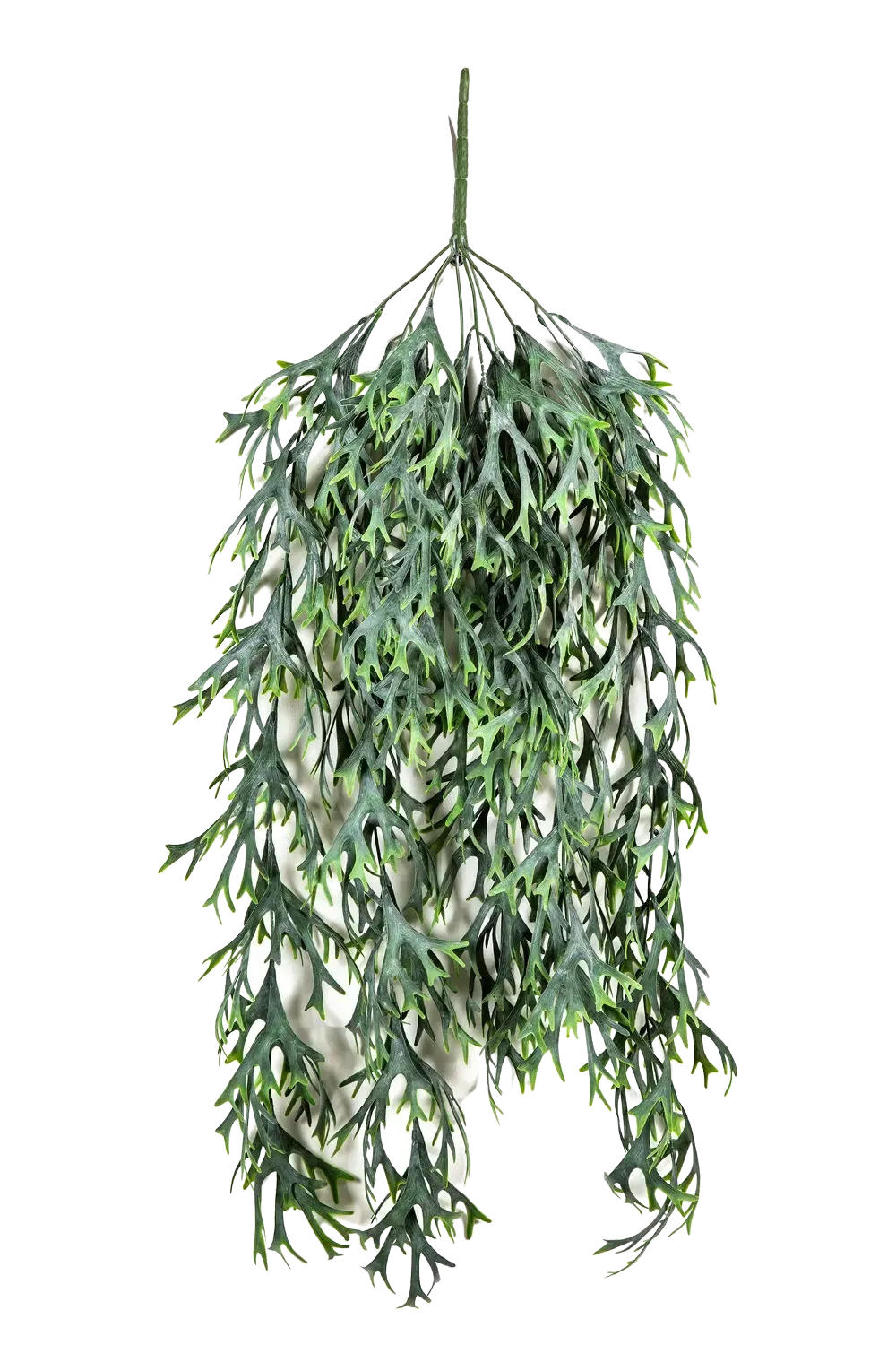 KÜNSTLICHER Hänge-Geweihfarn - Elli 80 cm - Multicolor, Kunststoff (80cm) - aplanta