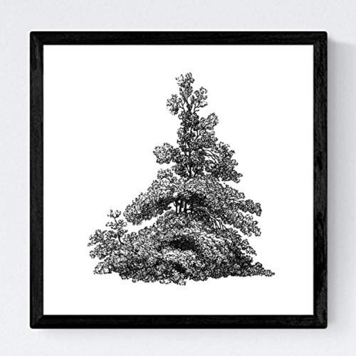 POSTER Set mit 4 Bädern Bäume und Sträucher weißer Hintergrund 20x20cm Rahmenlos - Klar, Papier (20/3cm) - Nacnic