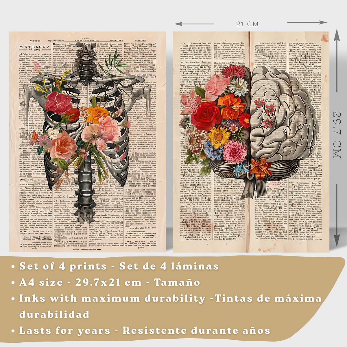 POSTER Set aus 4 Vintage Anatomie Drucke und Wandbilder mit Herz Schädel Skelett und Gehirn Collage Stil Wanddekoration Größe Rahmenlos A4 - Klar, Papier (21/29.7/3cm) - Nacnic