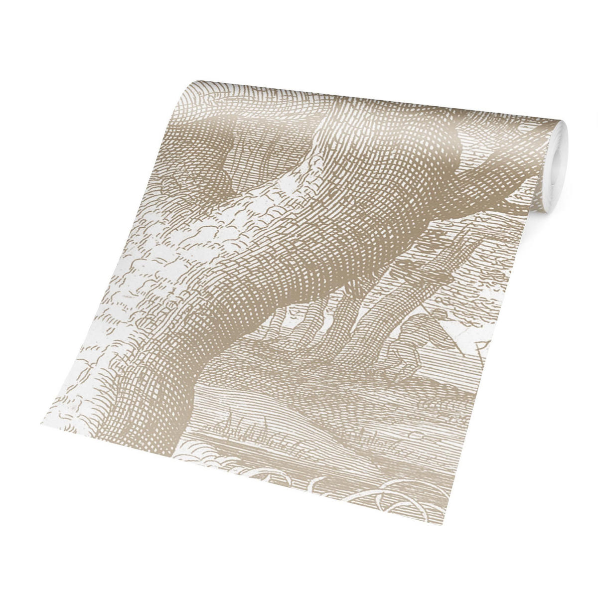 FOTOTAPETE Im Wald Kupferstich in Beige 288/190 cm - Eichefarben, Papier (288/190cm) - Bilderwelten