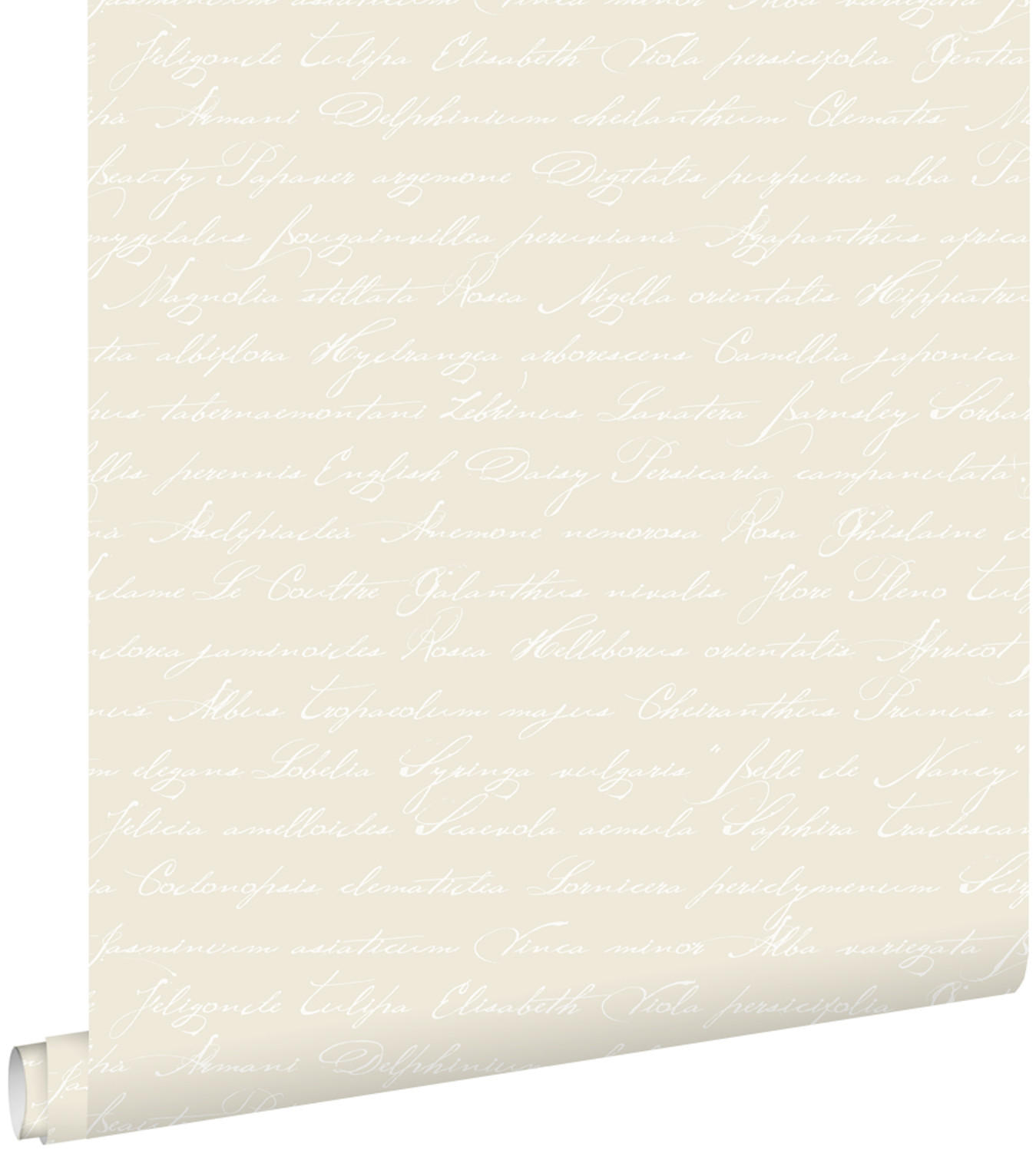 TAPETE handgeschriebene lateinische Blumennamen 53 cm x 10.05 m - Beige, Papier (53/1000cm) - ESTAhome