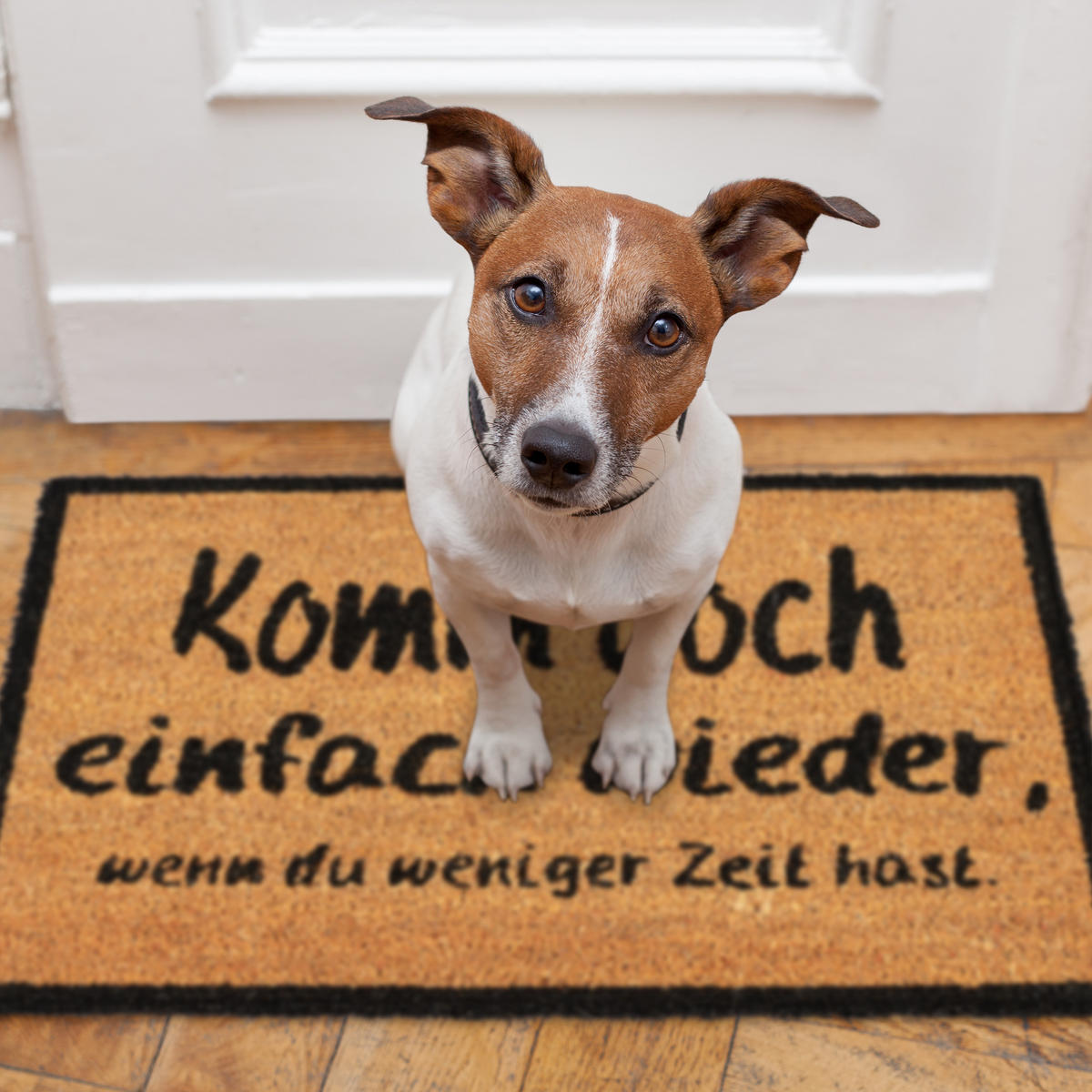 FUSSMATTE - Multicolor, Kunststoff/Textil (60/40cm) - Relaxdays
