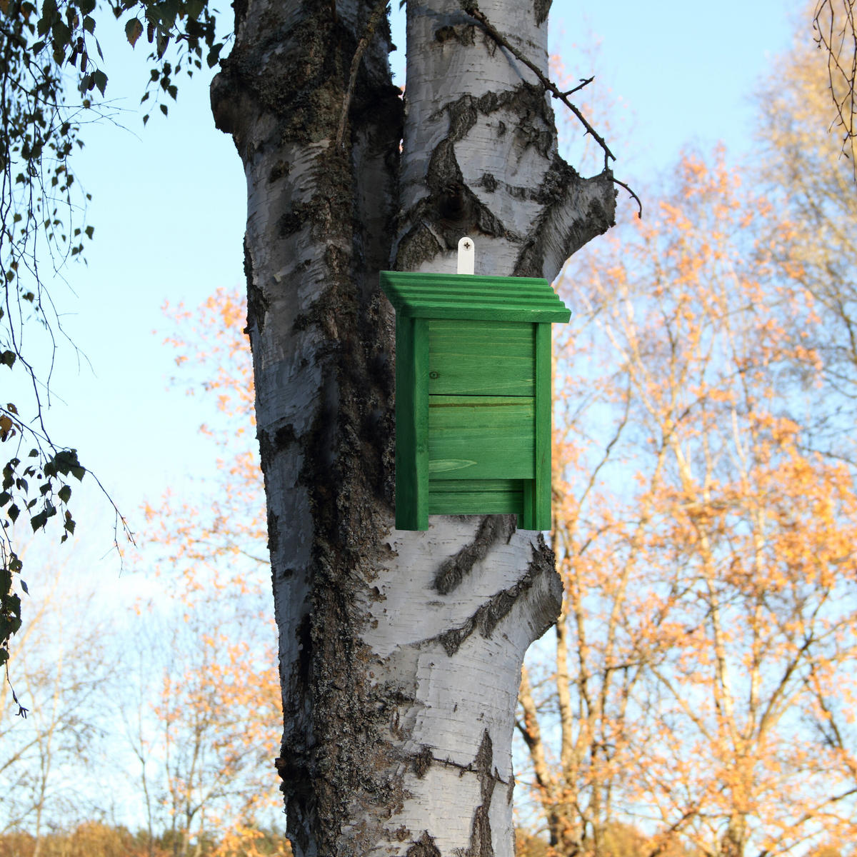 FLEDERMAUSKASTEN - Grün, Holz/Metall (18/29/6cm) - Relaxdays