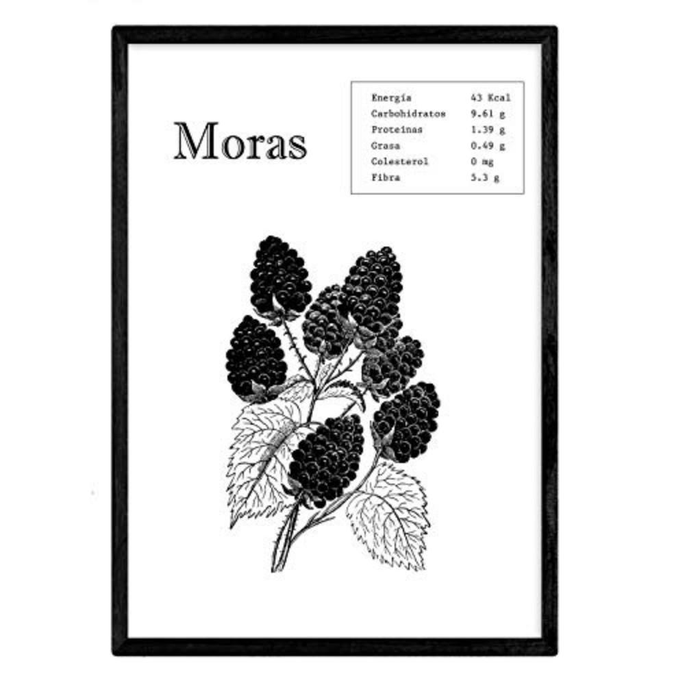 POSTER Fruits & Vegetables – Berries A4 Rahmenlos - Klar, Papier (29.7/5/21cm) - Nacnic