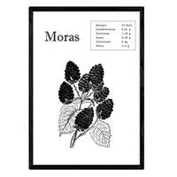 POSTER Fruits & Vegetables – Berries A4 Rahmenlos - Klar, Papier (29.7/5/21cm) - Nacnic