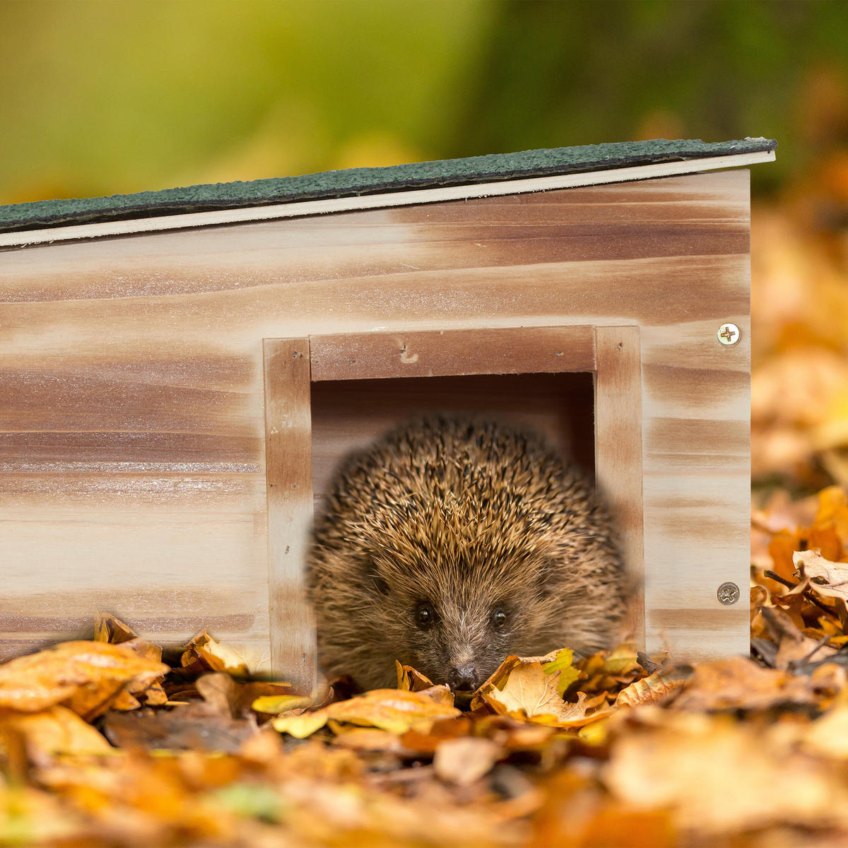 IGELHAUS - Braun, Holz/Kunststoff (40/21.5/40cm) - Relaxdays
