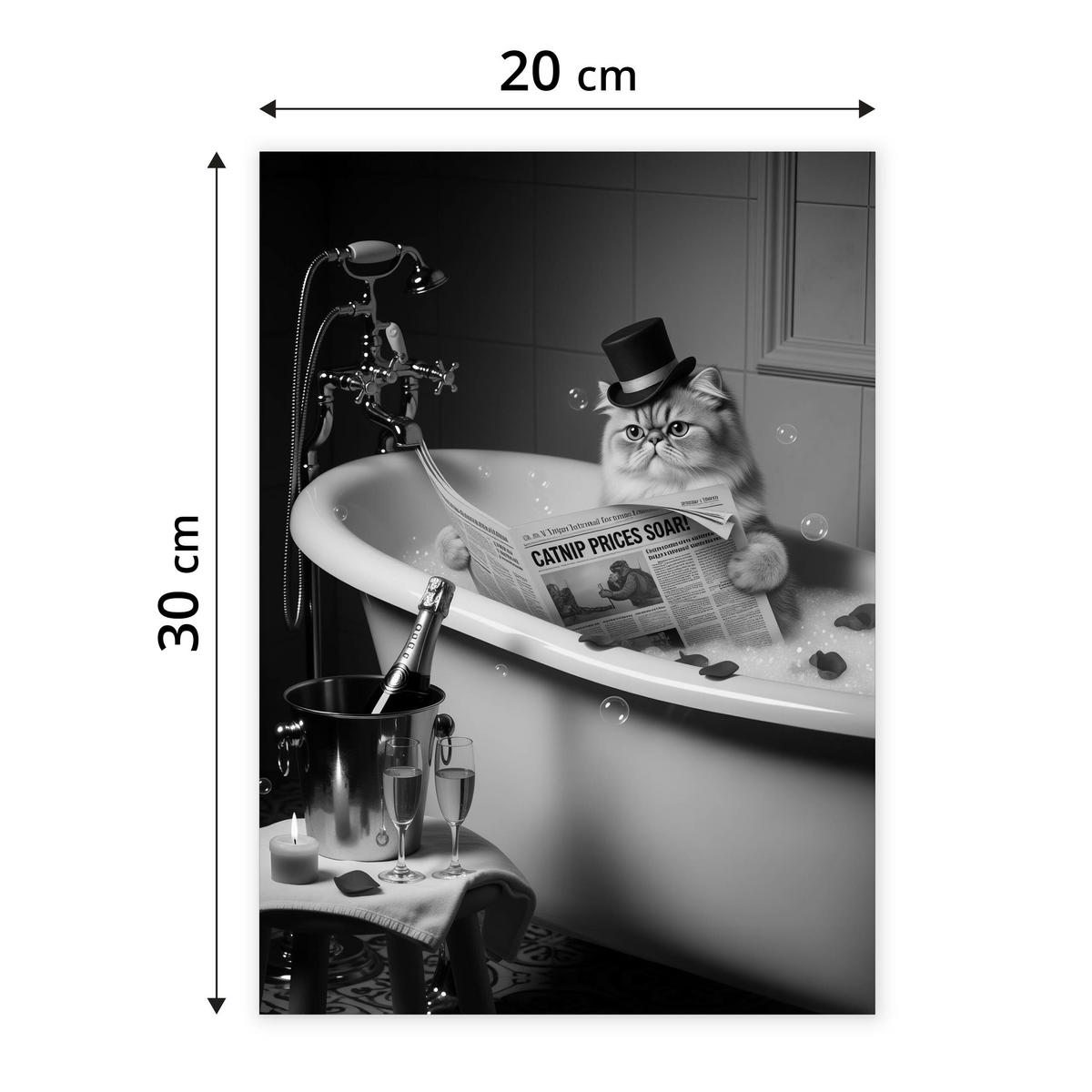 POSTER für Badezimmer WC KATZE in Badewanne Zeitung Abstraktion 20x30cm - Schwarz/Weiß, Papier (20/30/1cm) - Muralo