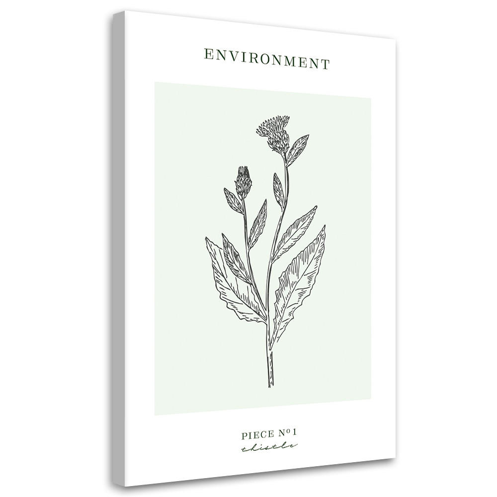 WANDBILD distelblume umwelt - Türkis, Textil (40/60cm) - Feeby