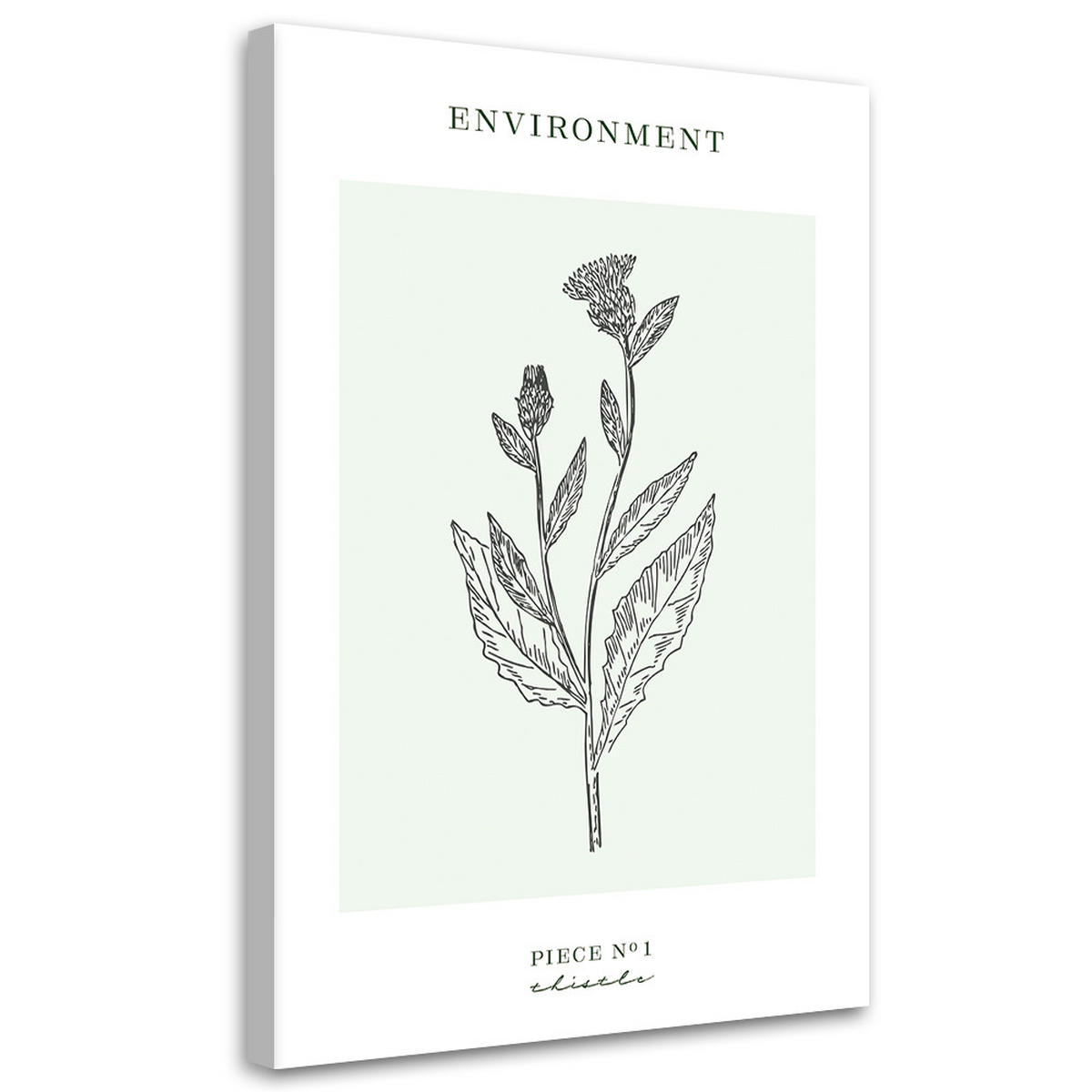 WANDBILD distelblume umwelt - Türkis, Textil (40/60cm) - Feeby