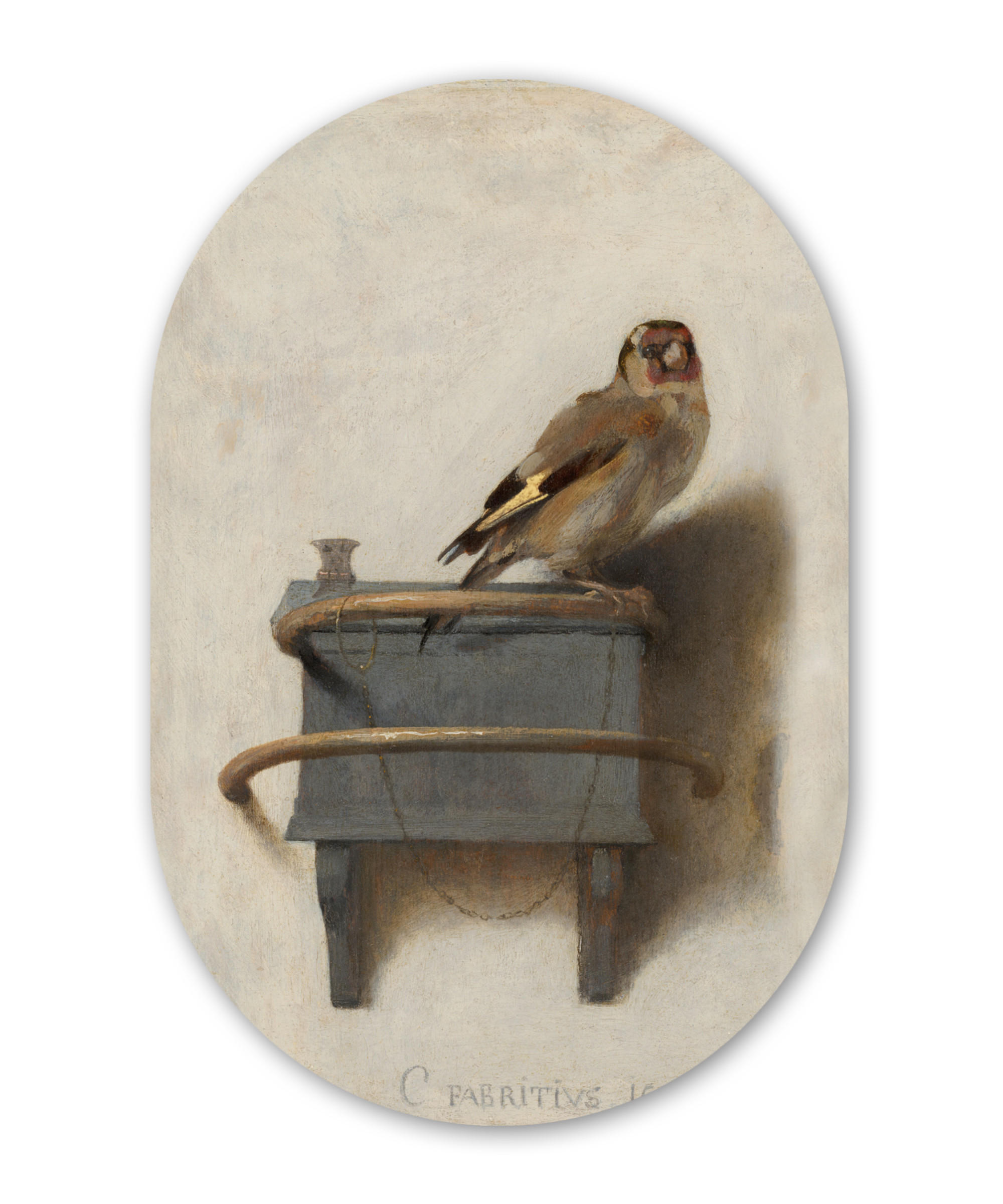 NÁSTĚNNÝ OBRAZ Zlatohlávek - Starý mistr - Carel Fabritius 40x60 cm - šedá, plast (40/60cm) - MuchoWow
