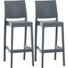 BARHOCKER 2er Set Kunststoff dunkelgrau - Dunkelgrau/Grau, Kunststoff (45/105/51cm) - CLP