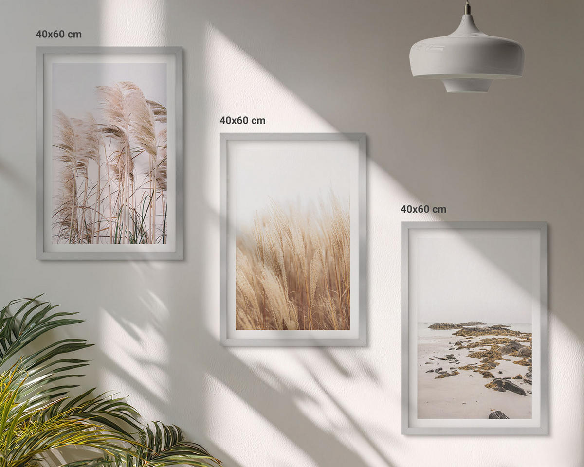 WANDBILDER 3er Set - 40x60 cm Silberner Rahmen - Pampasgrasfelder und ein Boho-Strand - Silberfarben, Kunststoff (40/60cm) - ArtPrintCave