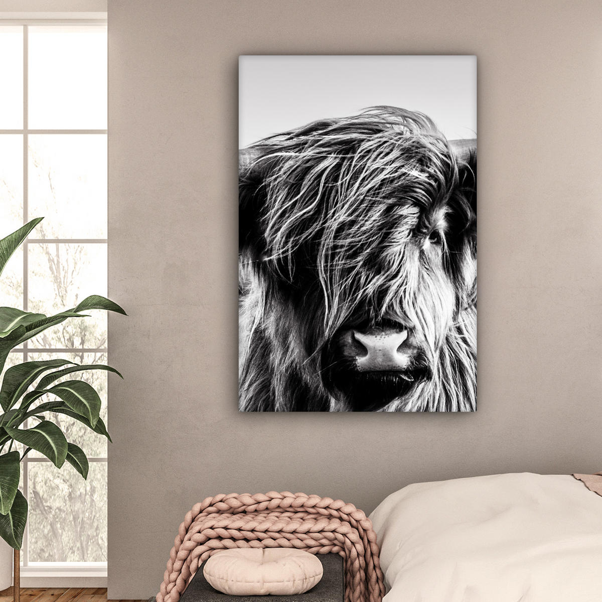 OBRAZ NA PLÁTNĚ Kráva - Skotský horal - Černá - Bílá - Zvíře - Příroda - Divoká zvěř 80x120 cm - černá, textil (80/120cm) - MuchoWow