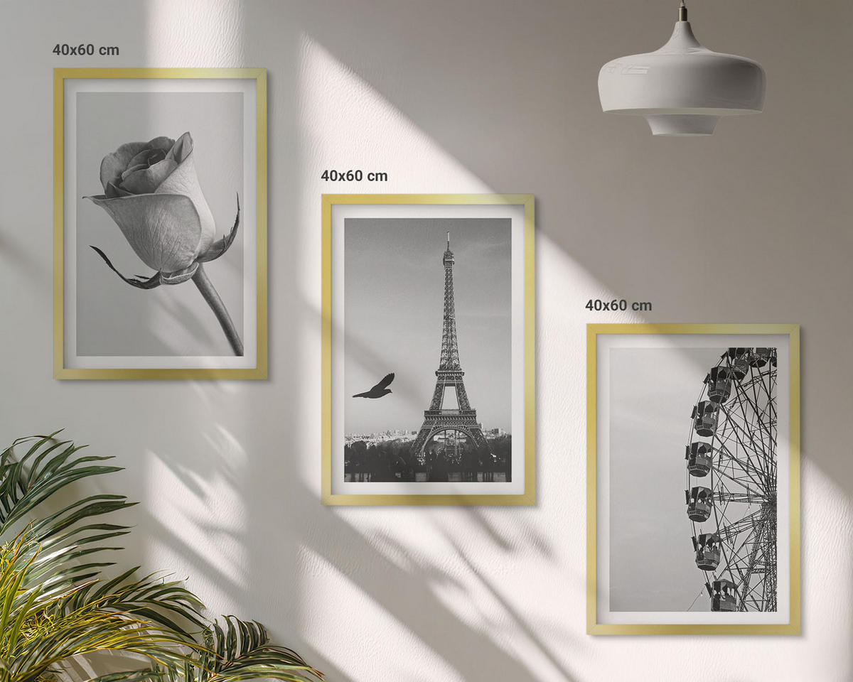 WANDBILDER 3er Set - 40x60 cm Goldrahmen - Rose Eiffelturm Riesenrad - Goldfarben, Kunststoff (40/60cm) - ArtPrintCave