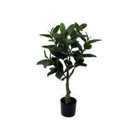 DEKOPFLANZE Rubber Tree 48/48/69 cm - Grün, Kunststoff (69cm) - Present Time