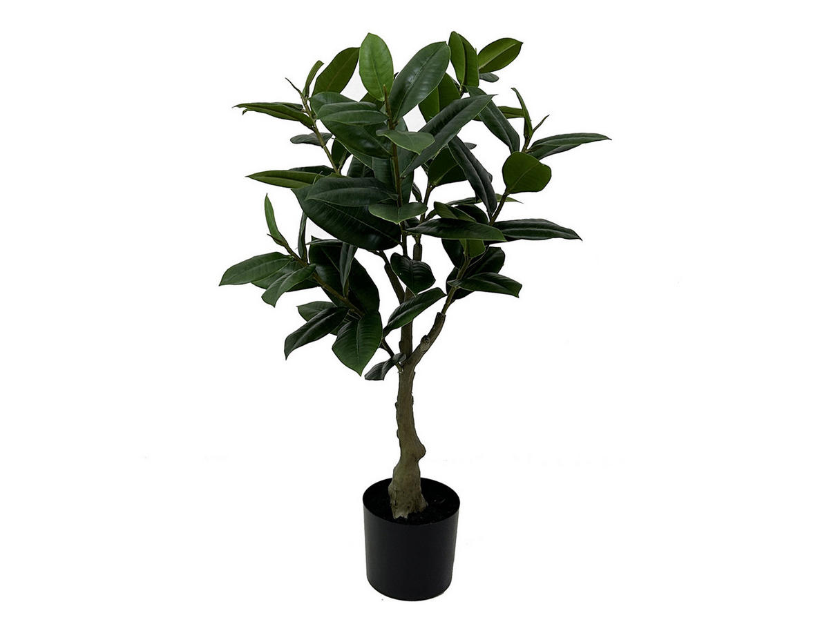DEKOPFLANZE Rubber Tree 48/48/69 cm - Grün, Kunststoff (69cm) - Present Time