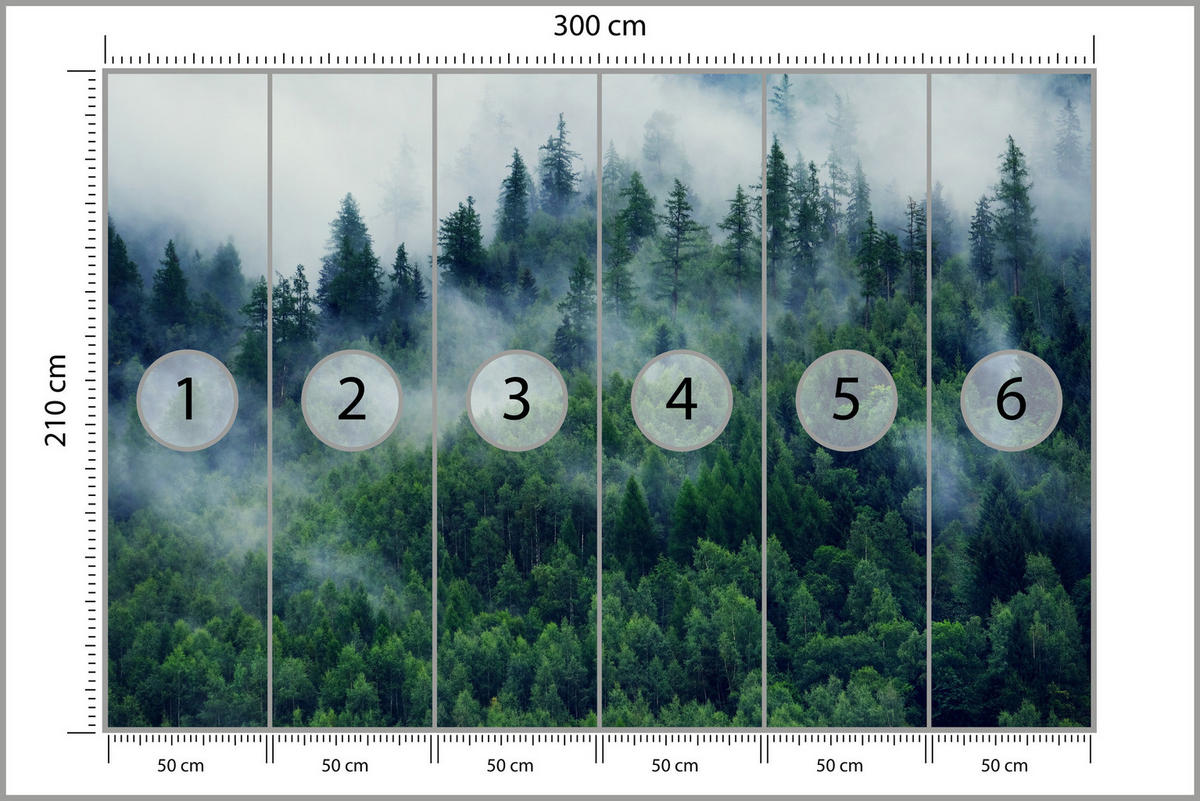 FOTOTAPETE Wald im Nebel Natur Landschaft 3D 300x210 - Grau/Grün, Papier (300/210cm) - Muralo