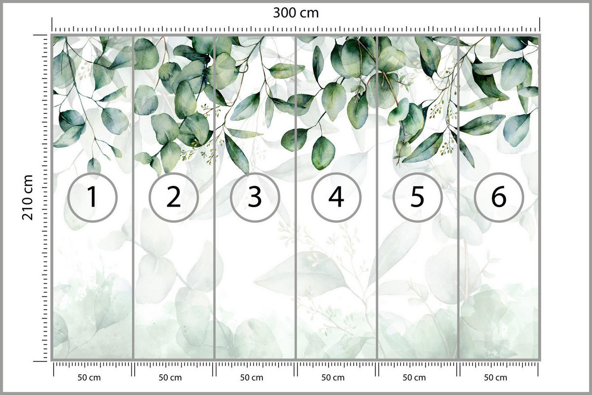 FOTOTAPETE Eukalyptus Blätter Pflanzen Natur 300x210 - Weiß/Grün, Papier (300/210cm) - Muralo