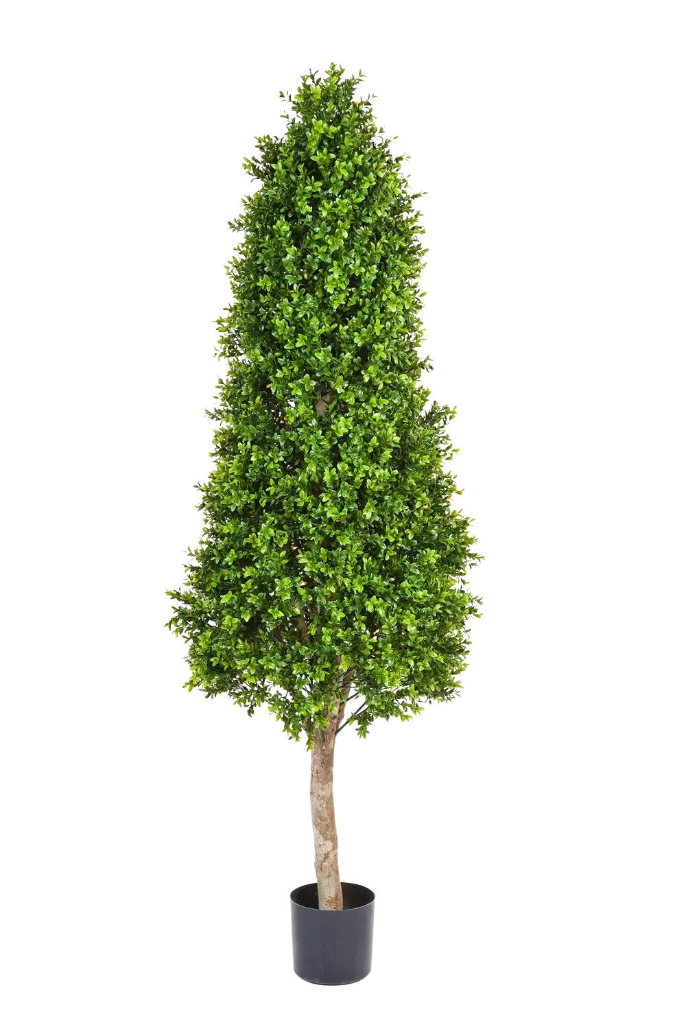 KUNSTBAUM Künstlicher Buchsbaum - Rene 170 cm - Grün, Kunststoff (170cm) - aplanta