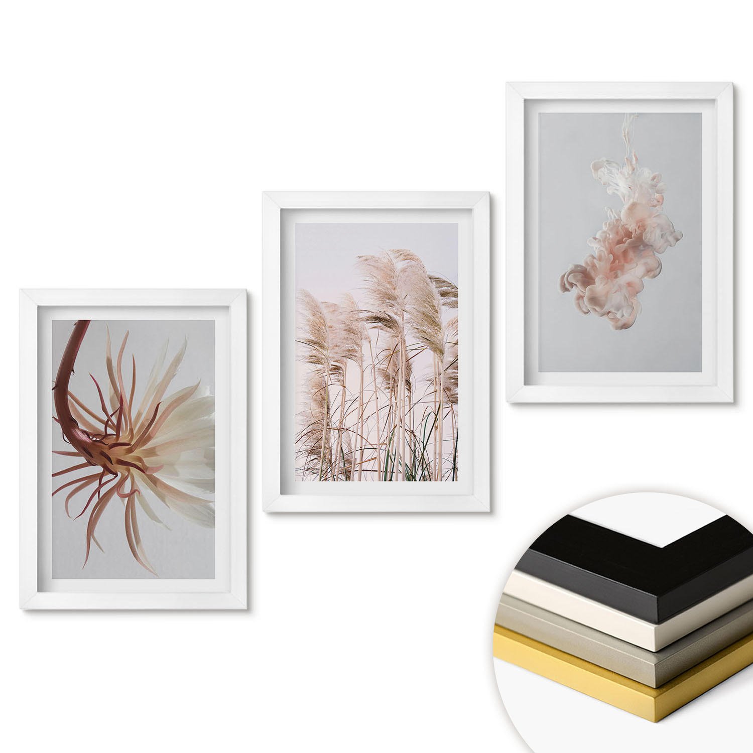 WANDBILDER 3er-Set - 20x30 cm Weißer Rahmen - Set aus Gras, Blumen und hellem Hintergrund - Weiß, Kunststoff (20/30cm) - ArtPrintCave