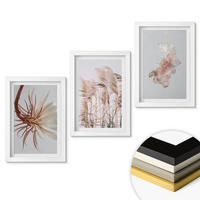 WANDBILDER 3er-Set - 20x30 cm Weißer Rahmen - Set aus Gras, Blumen und hellem Hintergrund - Weiß, Kunststoff (20/30cm) - ArtPrintCave