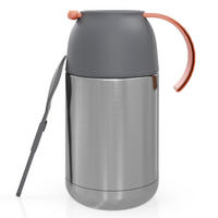 THERMOBEHÄLTER 650ml Auslaufsicher - Grau, Metall (0.65L) - Intirilife