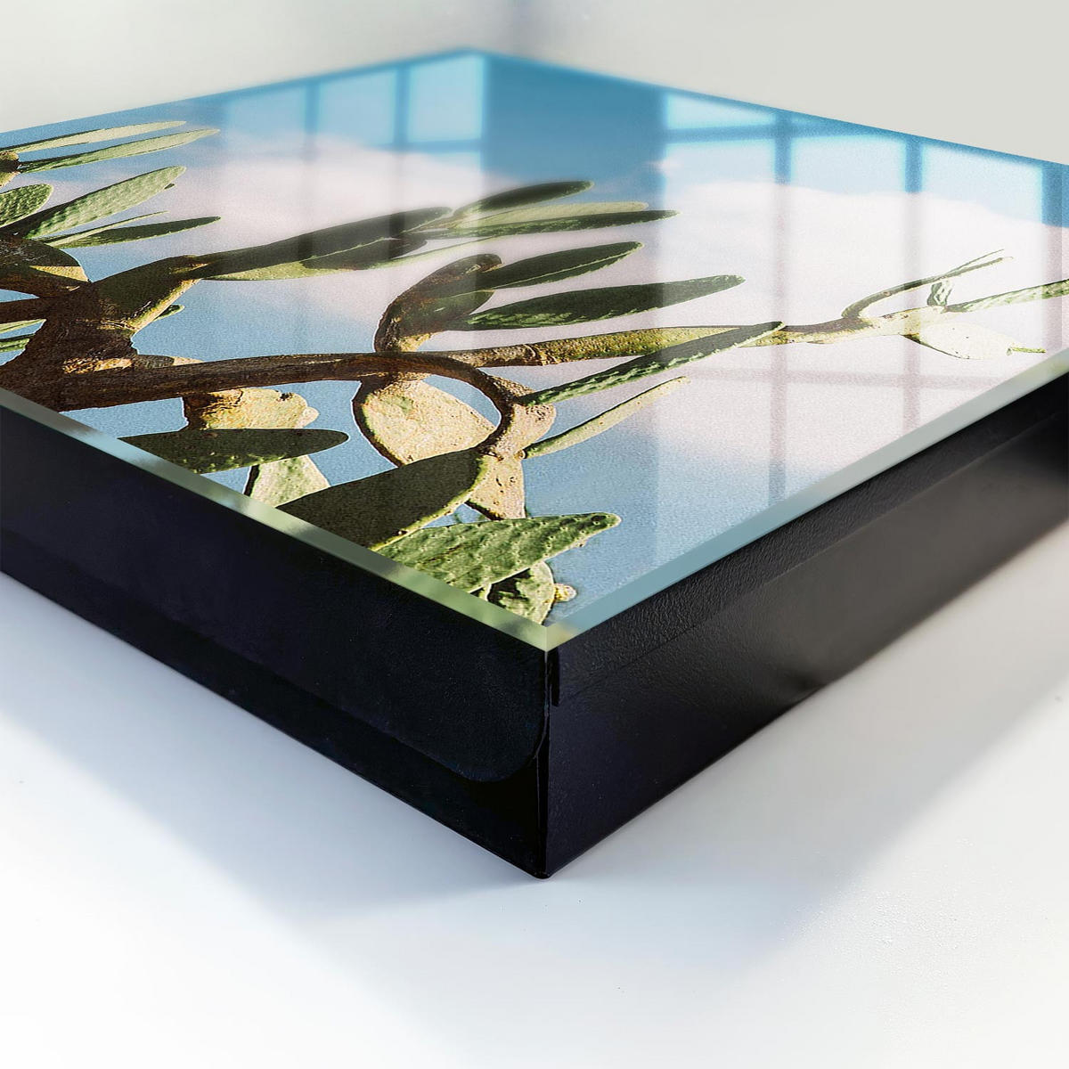 SCHLÜSSELBOX Schwarz 30x30 cm- Türöffnung nach rechts - Grüner Kaktus - Grün, Metall (30/30/5cm) - TULUP