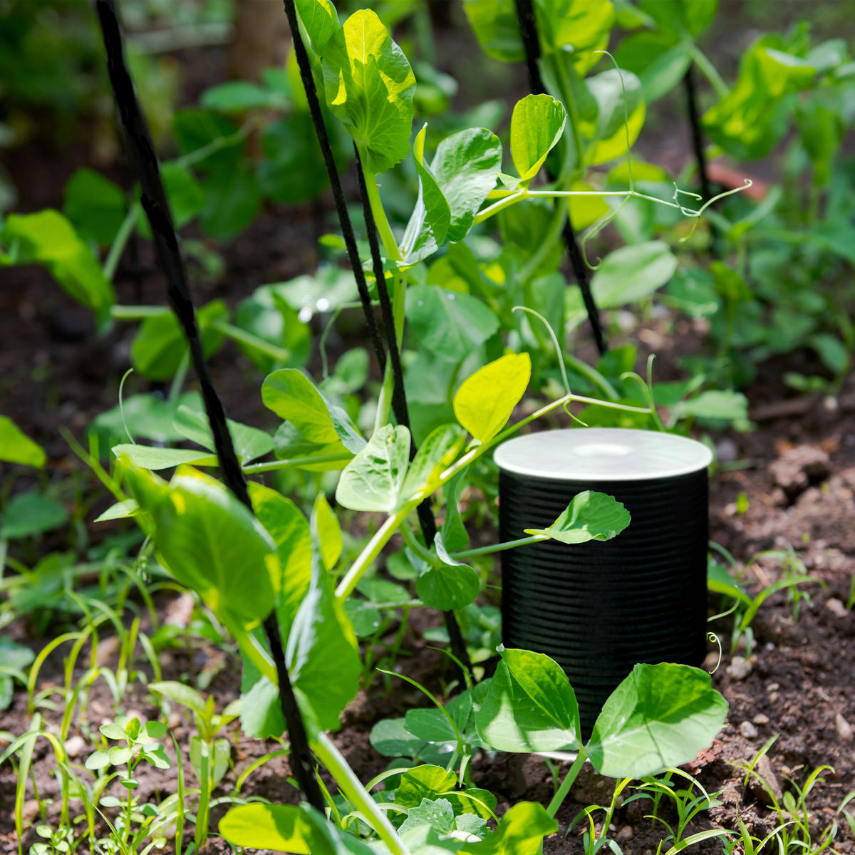 PARACORD - Multicolor, Textil (10/10/13.5cm) - Relaxdays