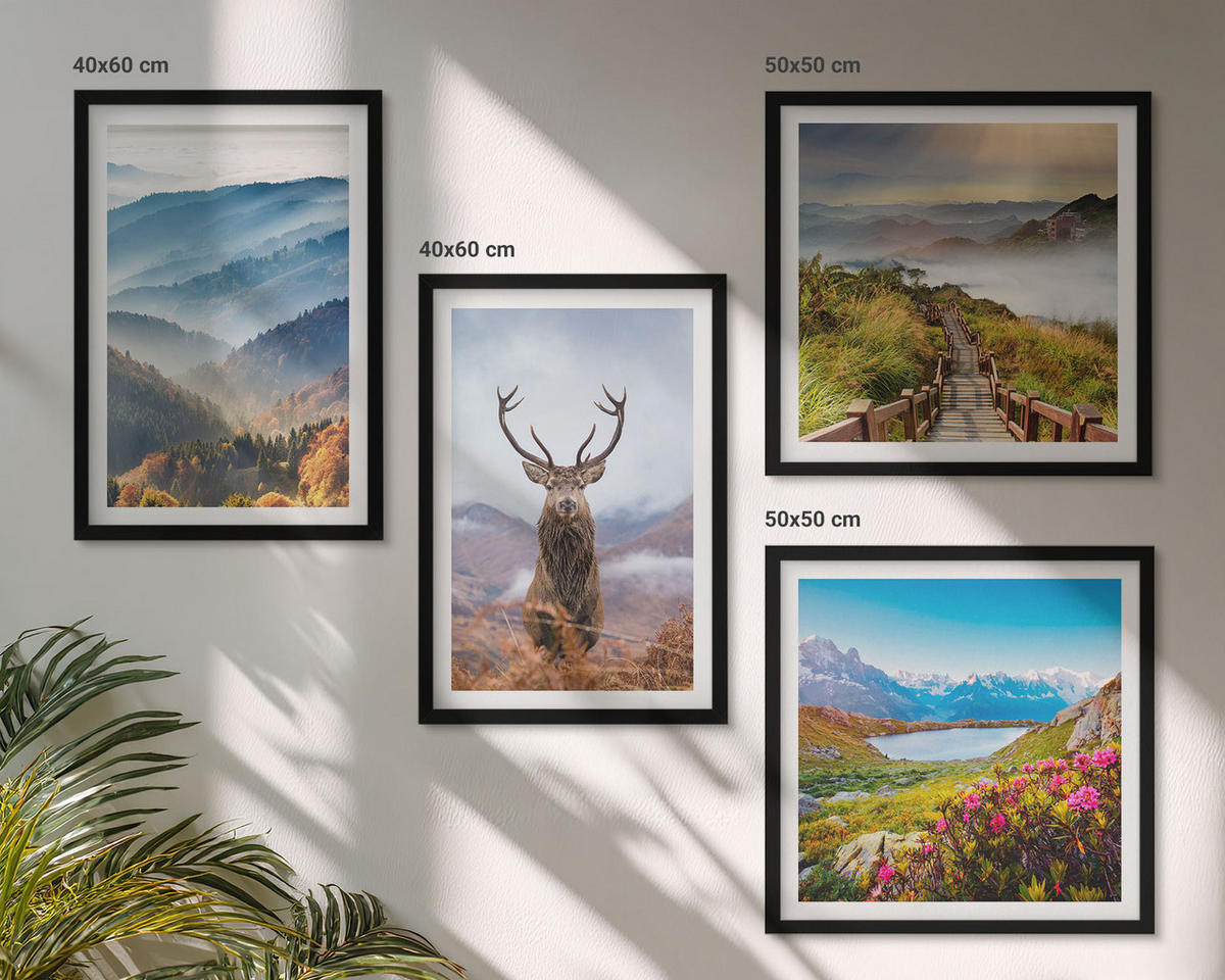 WANDBILDER 4er-Set - 50x50 cm & 40x60 cm Schwarzer Rahmen - Berglandschaft, See, Hirsche - Schwarz, Kunststoff (50/50cm) - ArtPrintCave