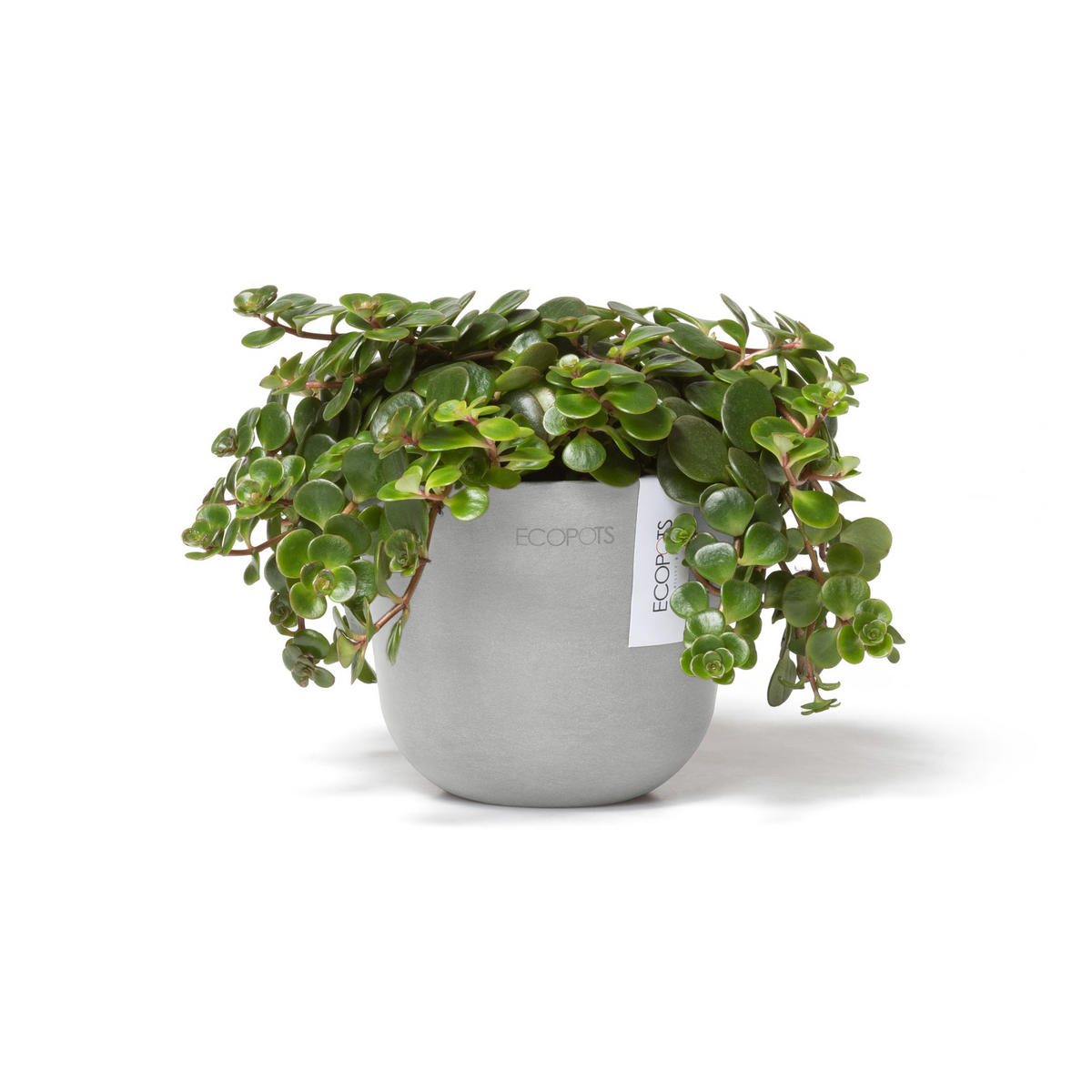 BLUMENTOPF Oslo Mini 11,4/9,5 cm Hellgrau - Hellgrau, Kunststoff (11.4/9.5cm) - Ecopots