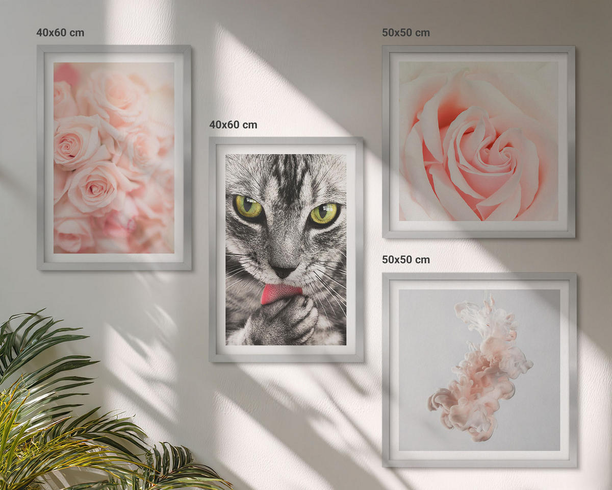 WANDBILDER 4er Set - 50x50 cm & 40x60 cm Silberner Rahmen - Abstrakte Darstellung von grauen Katzenrosen - Silberfarben, Kunststoff (50/50cm) - ArtPrintCave