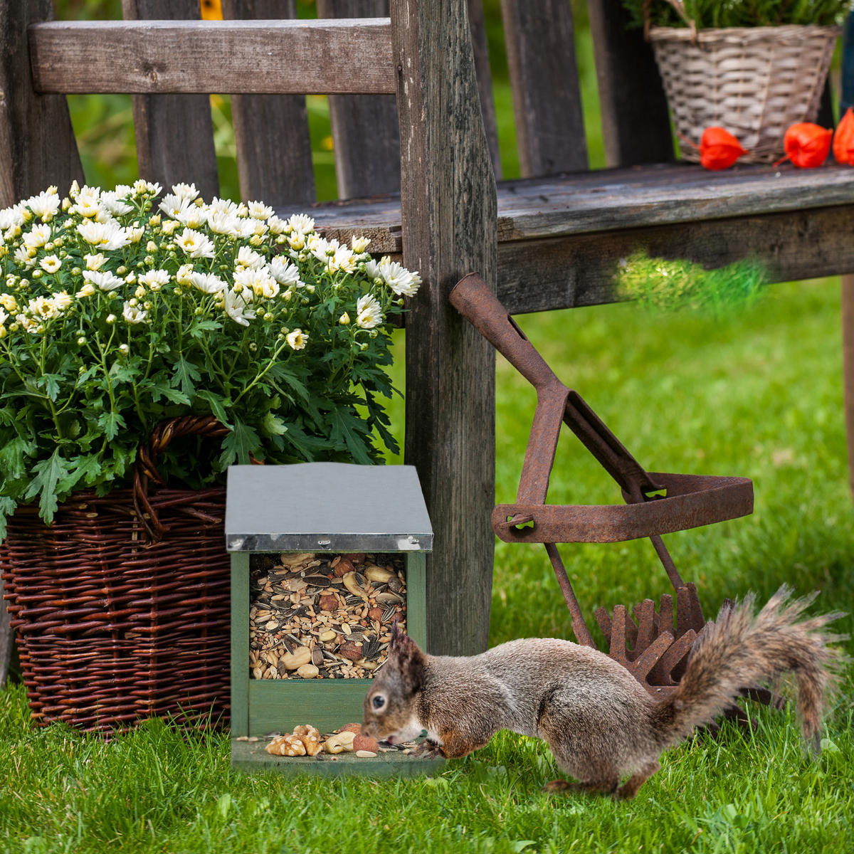 EICHHÖRNCHEN Futterhaus - Dunkelbraun, Holz/Kunststoff (12/18/25cm) - Relaxdays