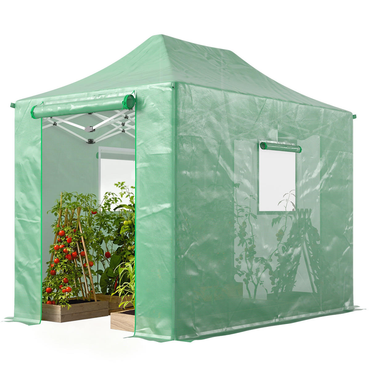 GEWÄCHSHAUS DE-05777 Pop-up, faltbar mit Satteldach Transparent - Grün, Kunststoff/Metall (200/270/295cm) - ComfortXL